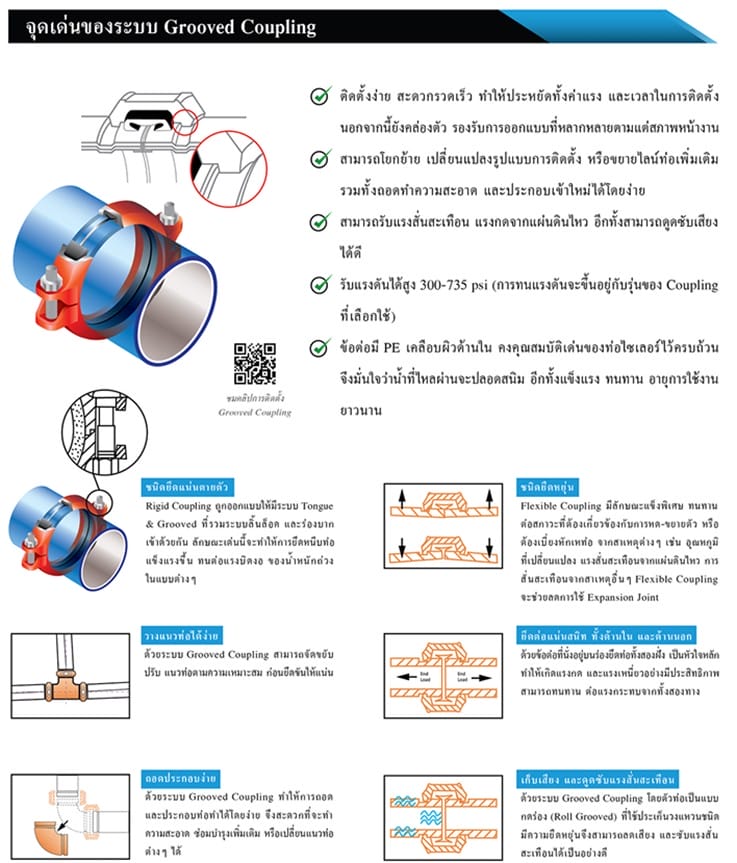 SYLER 10 messageImage 1728552660640